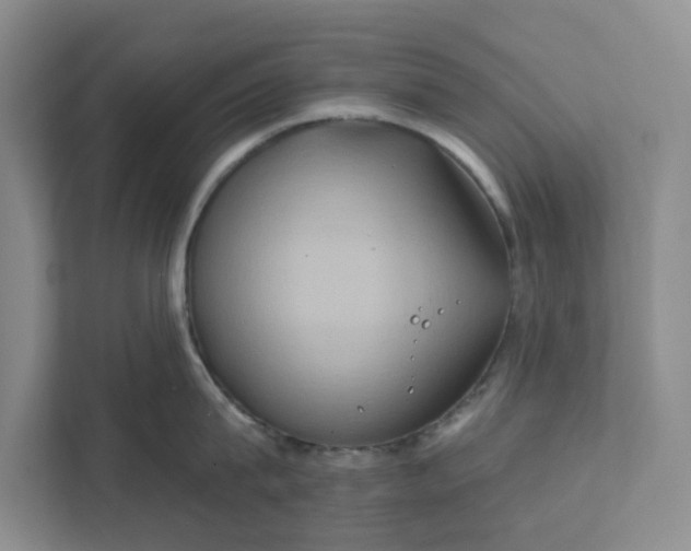 X0000111820815200908061134