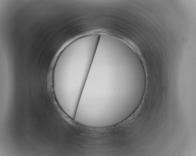 X0000111820816200908061134