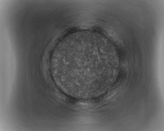 X0000111820817200908061133