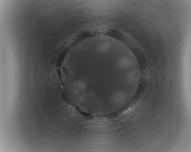 X0000111820818200908061133