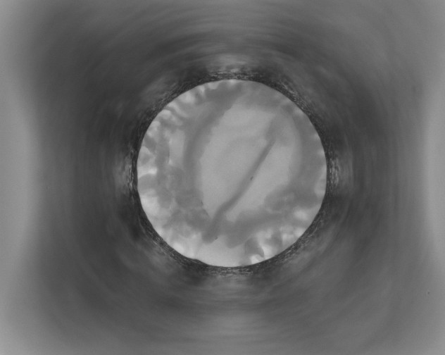 X0000111820820200908061133