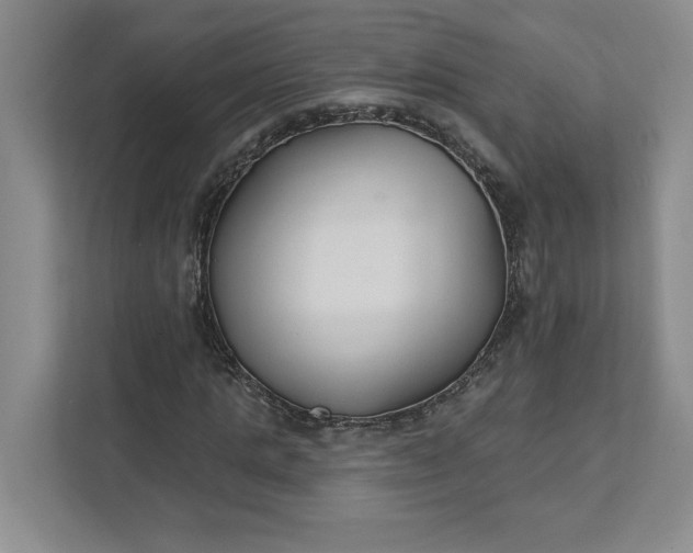 X0000111820821200908061133