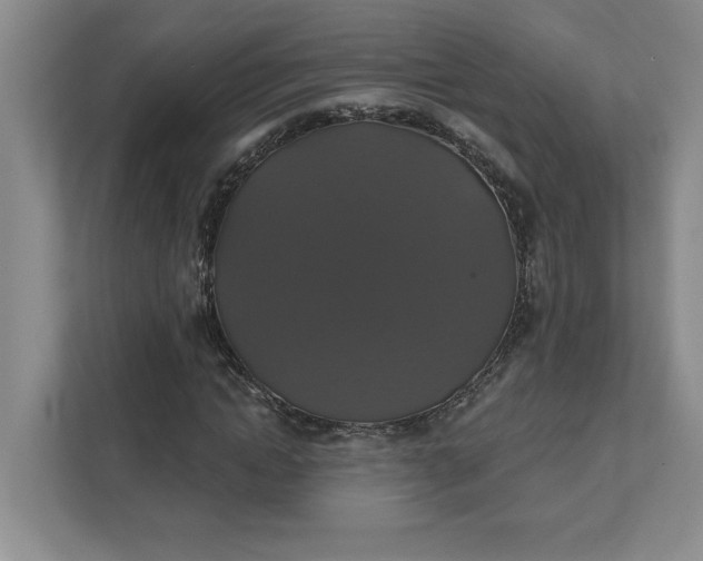 X0000111820822200908061133