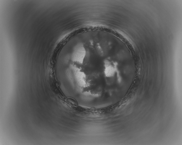 X0000111820823200908061133