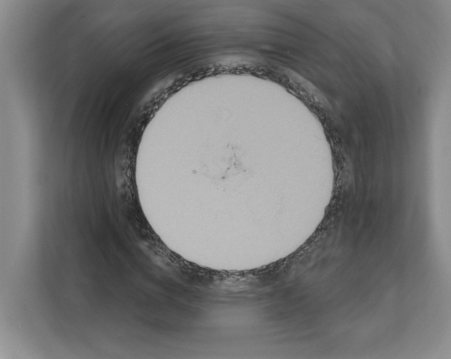 X0000111820824200908061133