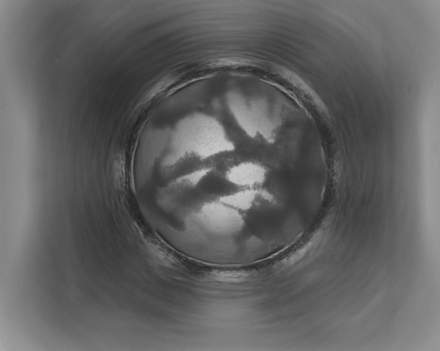 X0000111820825200908061133