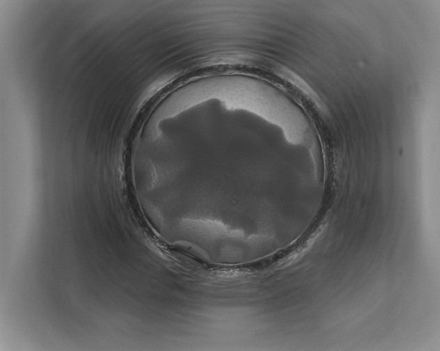 X0000111820826200908061134