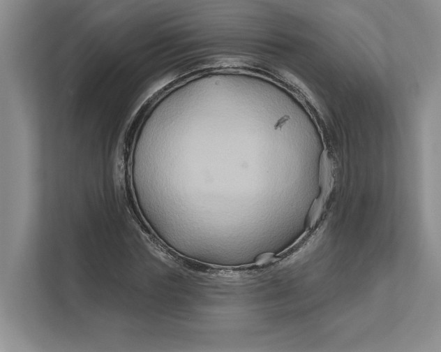 X0000111820827200908061134