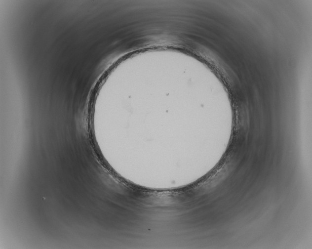 X0000111820828200908061134