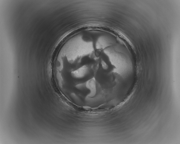 X0000111820829200908061134