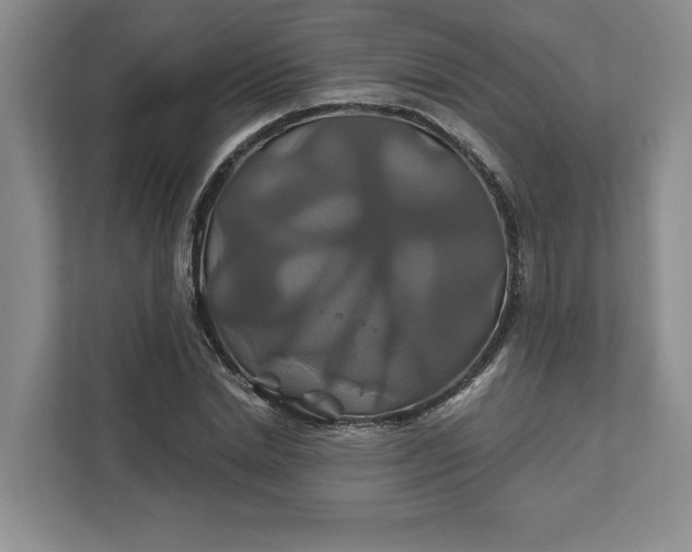 X0000111820830200908061134