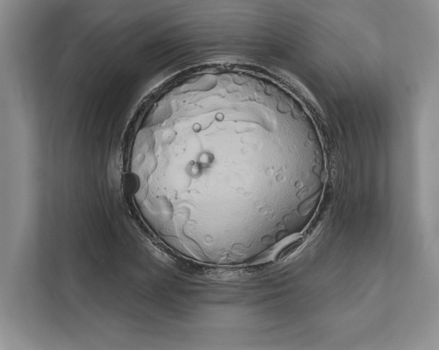 X0000111820831200908061134