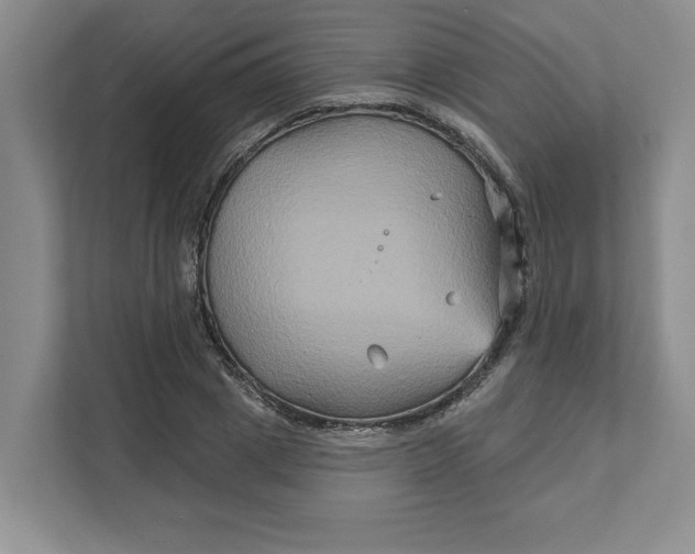 X0000111820833200908061134