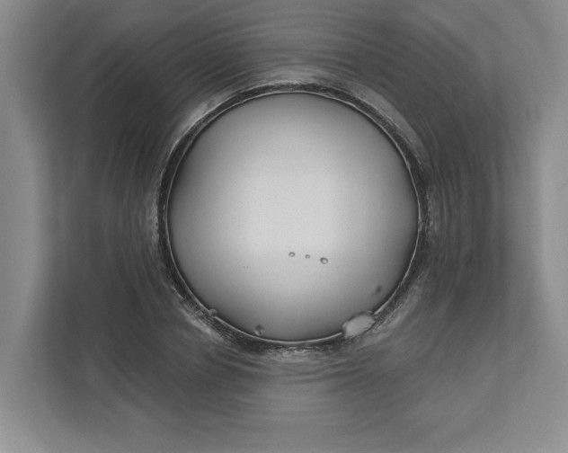 X0000111820834200908061134