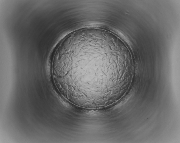 X0000111820835200908061134