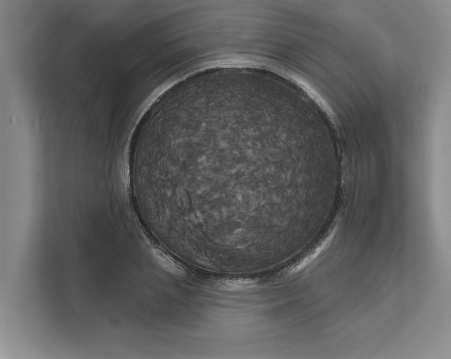 X0000111820837200908061134