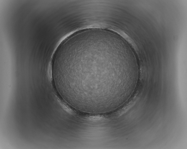 X0000111820838200908061134