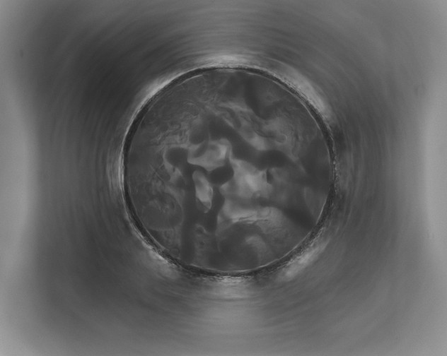 X0000111820839200908061134