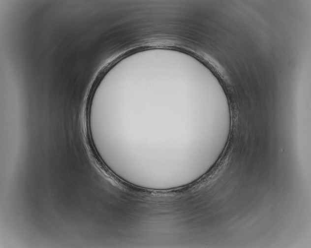 X0000111820840200908061134