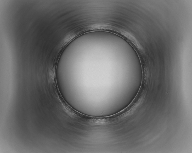 X0000111820841200908061134