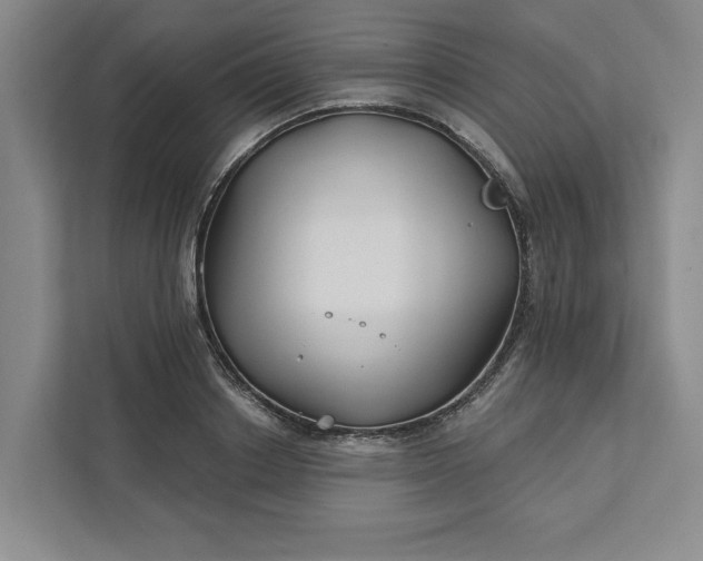 X0000111820842200908061134