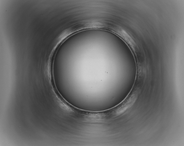 X0000111820843200908061134