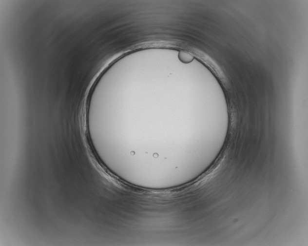 X0000111820844200908061134