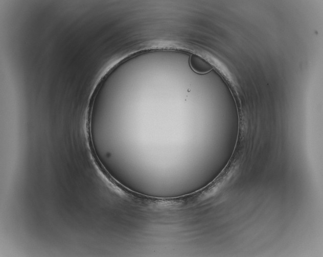 X0000111820847200908061134