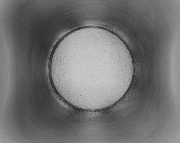 X0000111820848200908061134