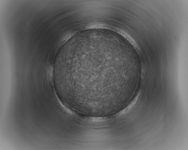 X0000111820849200908061134