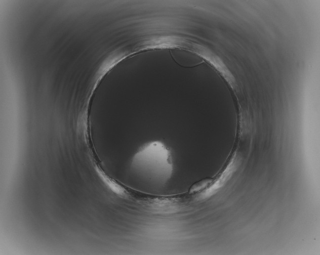 X0000111820850200908061134