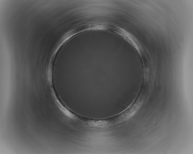 X0000111820851200908061134