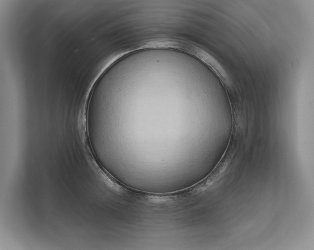 X0000111820852200908061134