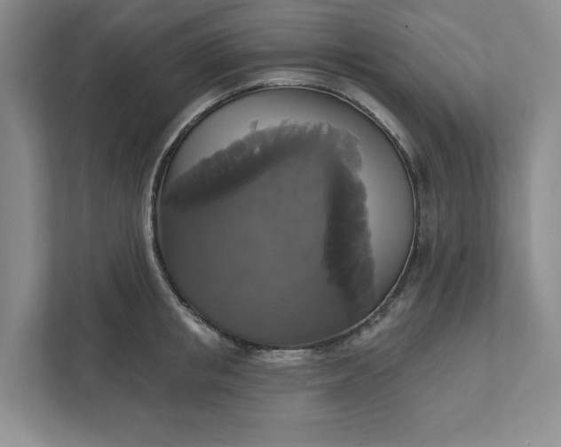 X0000111820853200908061134