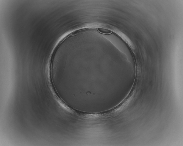 X0000111820854200908061134