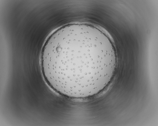 X0000111820855200908061134