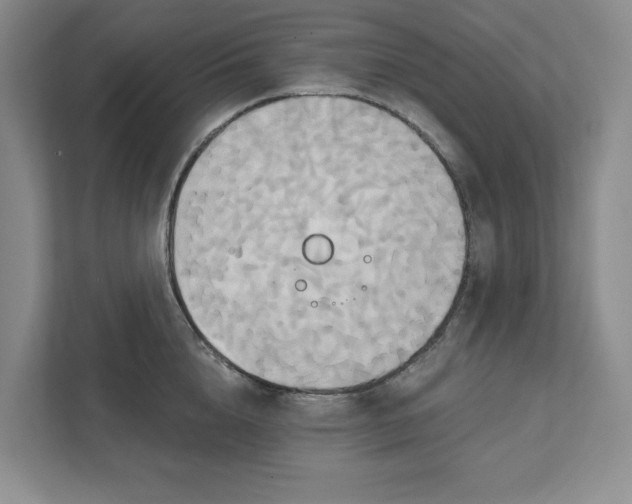 X0000111820856200908061134