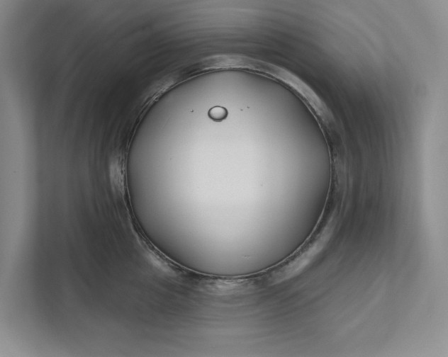 X0000111820857200908061134