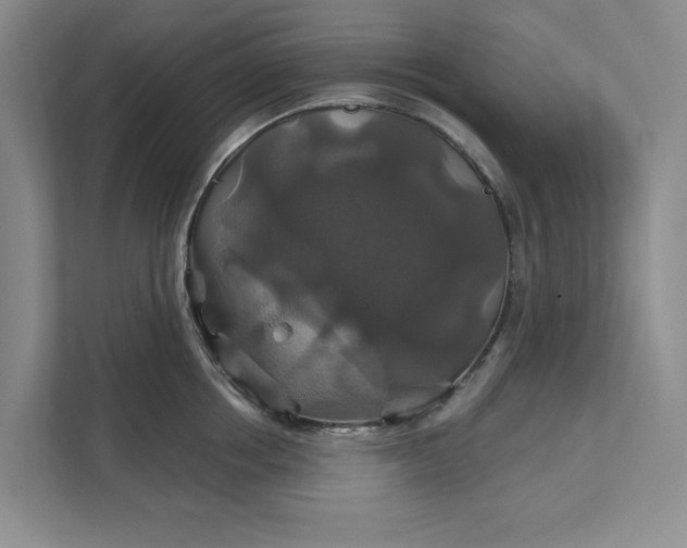 X0000111820858200908061134