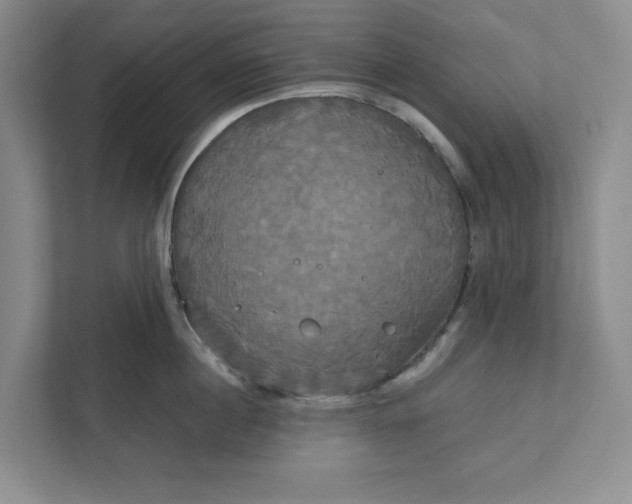 X0000111820860200908061134