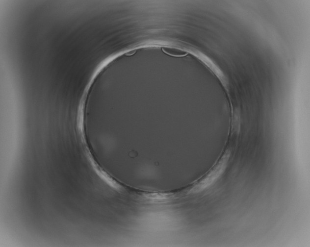 X0000111820862200908061134