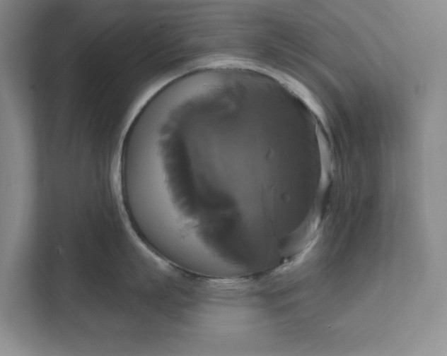 X0000111820863200908061134