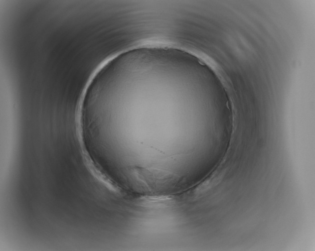 X0000111820864200908061134