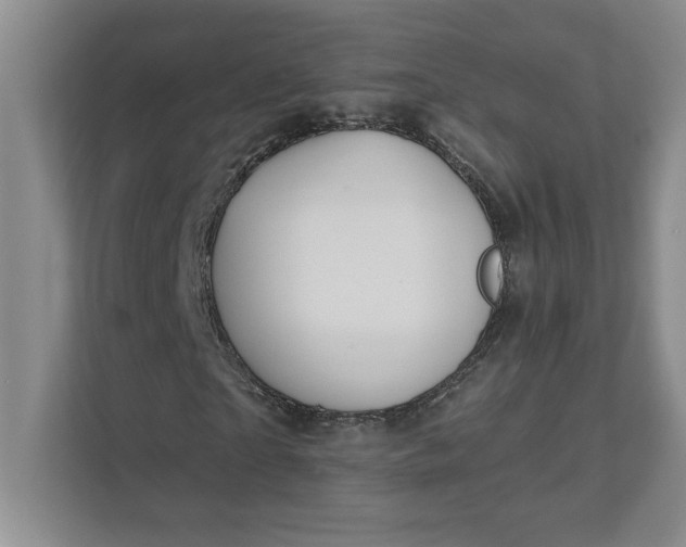 X0000111820865200908061133