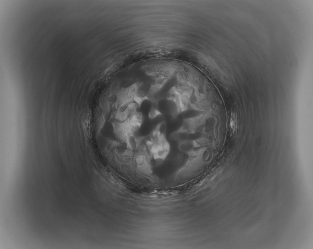 X0000111820867200908061133