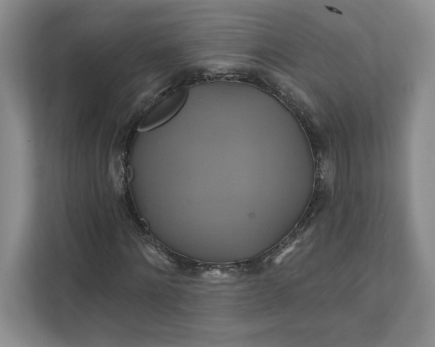 X0000111820868200908061133