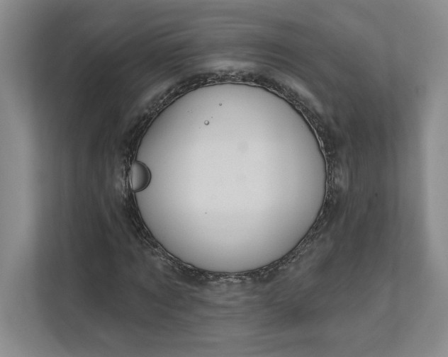 X0000111820869200908061133