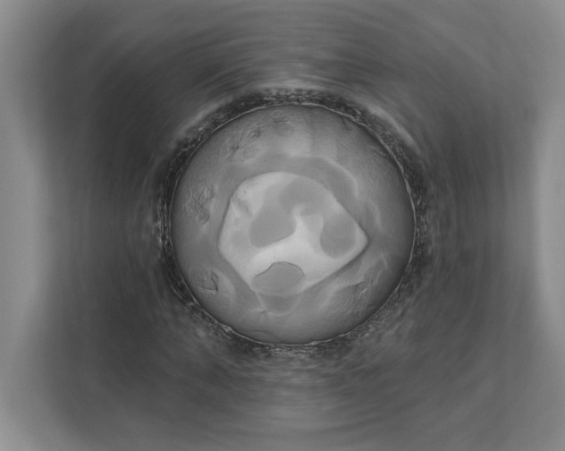 X0000111820870200908061133