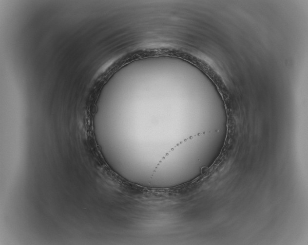 X0000111820871200908061133