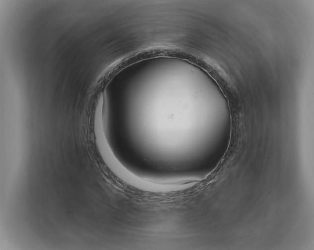 X0000111820872200908061133